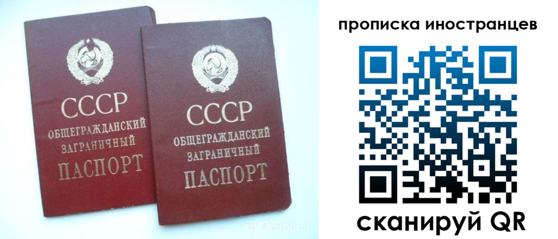прописка поиск в Чебоксарах